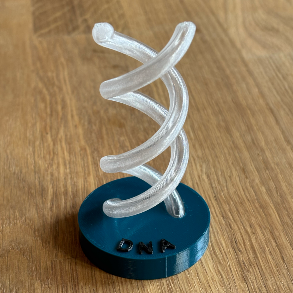 Eine Helix zum Verstehen - Unser DNA Ornament